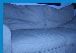 the den couch